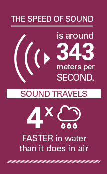 Graphic: The speed of sound is around 343 meters per second. Sound travels 4x faster in water than it does in air.